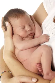 bebe